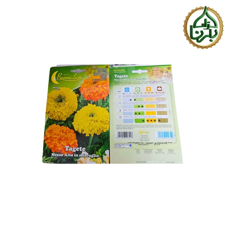 Marigold Seed