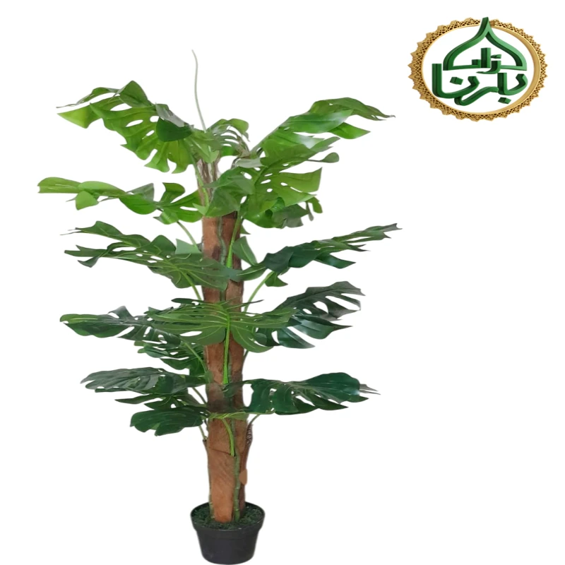 Monstera Moss Stick 160 Cm