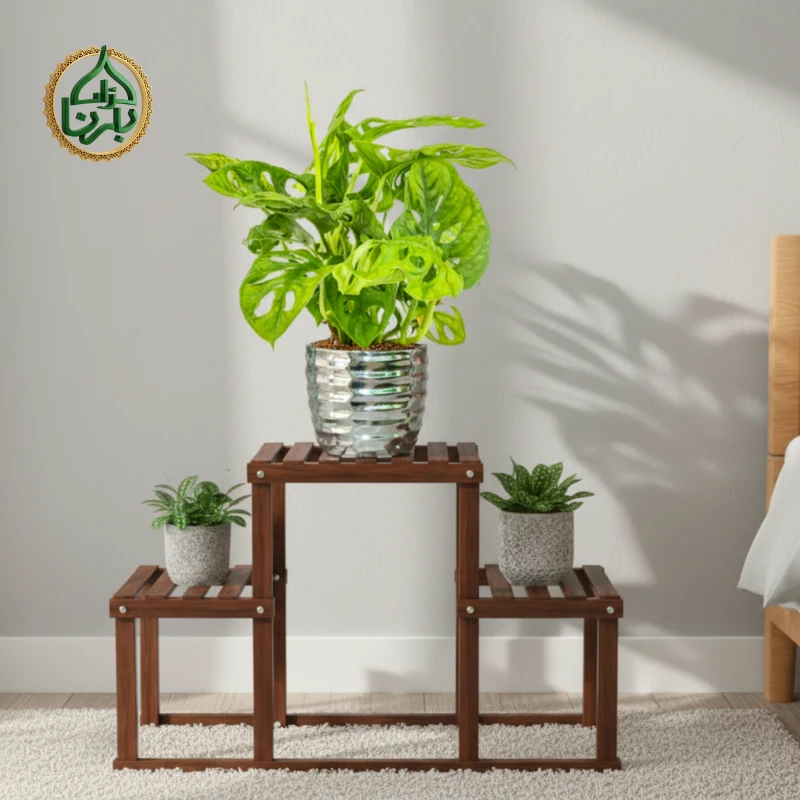 Monstera Adansonii Monke Mask