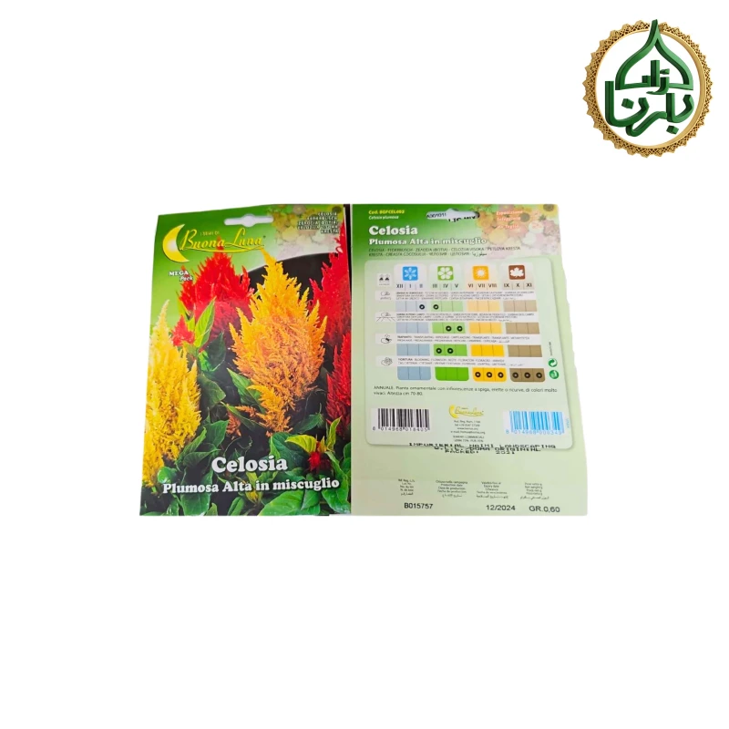 Celosia Seed