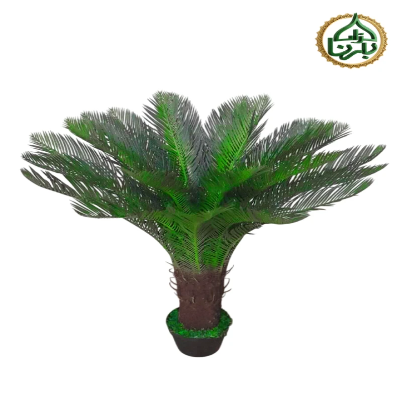 Cycas Tree 90 cm