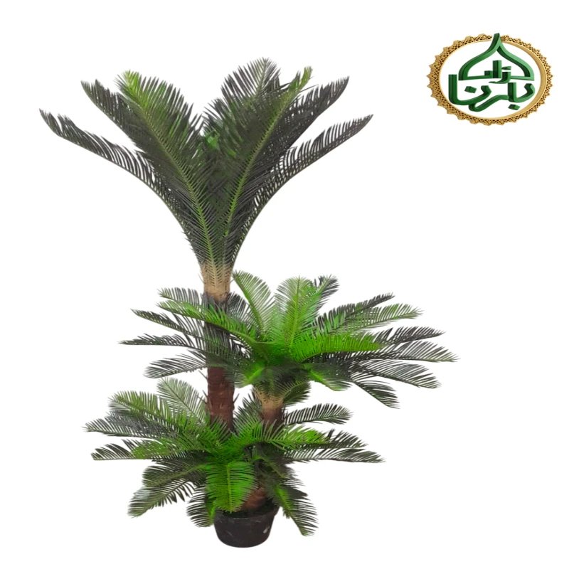 Cycas 160 cm