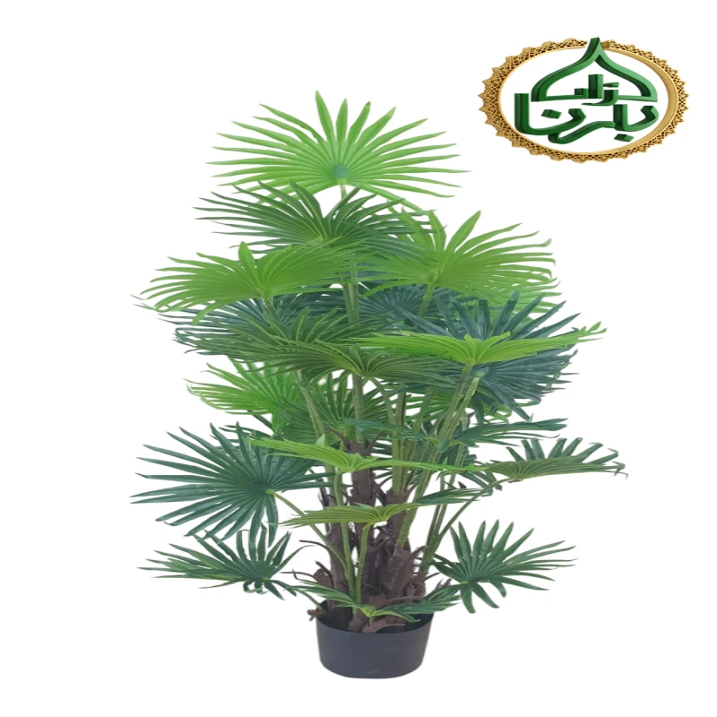 European Fan Palm 150 cm