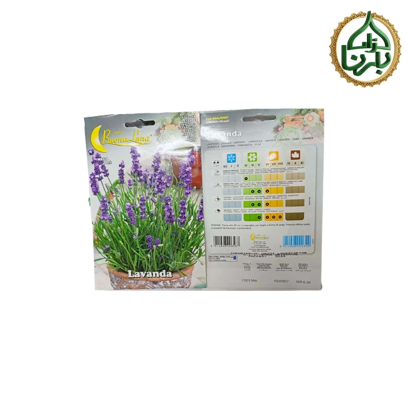 Lavandula Seed