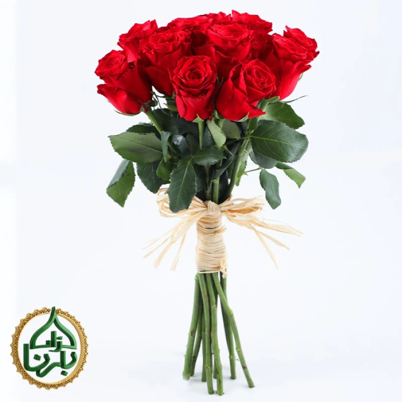 عناق الحب الأحمر 2