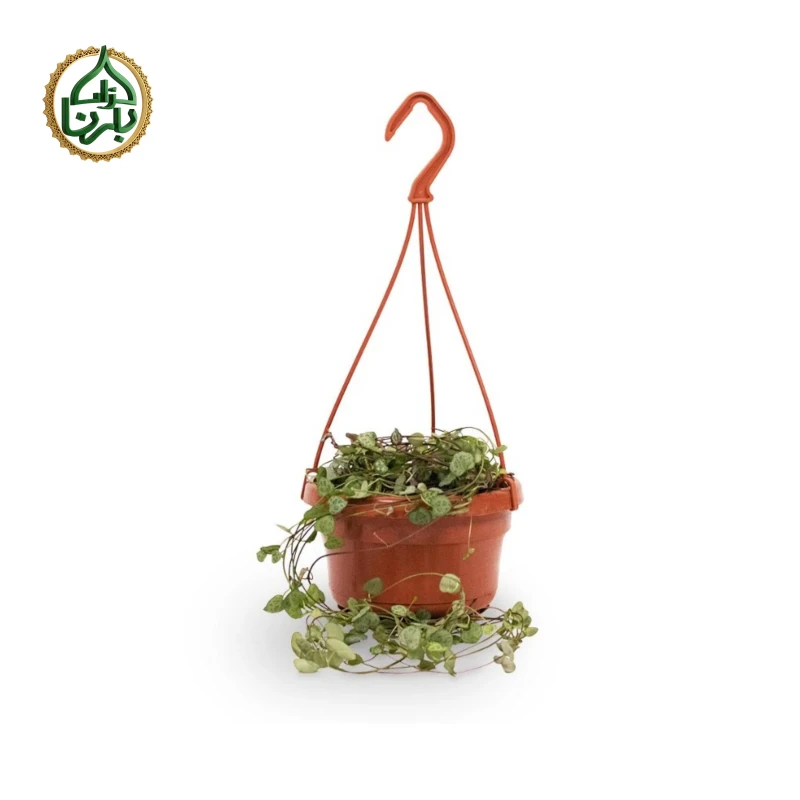 String of Hearts Hanging