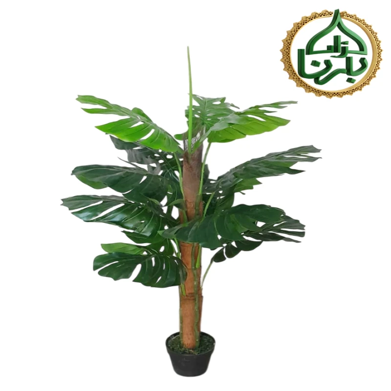 Monstera Moss Stick 120 Cm